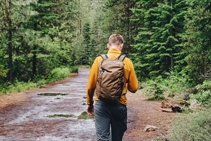 A person walking a quiet forest trail with a daypack.