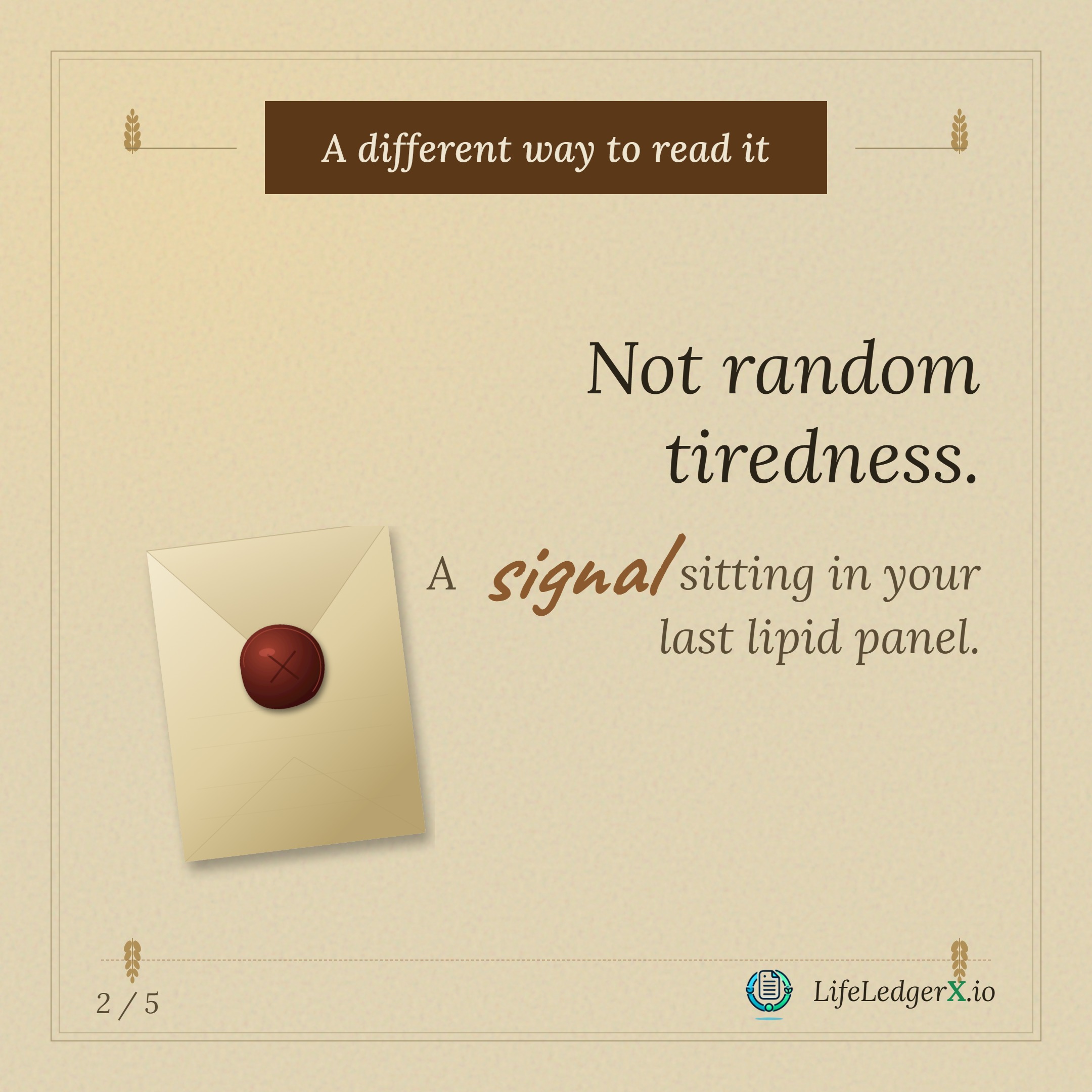 Reframe: not random tiredness, but a signal sitting in your lipid panel. A sealed envelope on warm parchment.